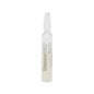 Rougj Dermocosmetiques Ampolas Anti-envelhecimento Steminelveg 2 Ml 7 Amp
