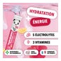 Panda Tea Hydratation et Énergie Citron Hibiscus 20comp