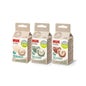 Nuk For Nature Chupeta de Silicone 18-36 Meses 2 unidades