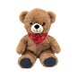 Plic Bolsa Térmica Peluche Teddie 150 gr 1 Unidade