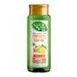 NaturVital Eco Purificante Jengibre y Limón Champú 300ml