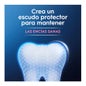 Oral-B Encias & Esmalte Repair Original Pasta Dentífrica 2x75ml