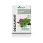 Soria Natural Regamint infusão 20 filtros