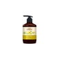 Green Pharmacy Sabonete Líquido Celidónia e Flor de Tília 460 ml