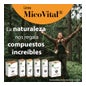 100% Natural Micovital Melena Leon 60caps