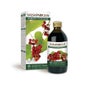 Dr. Giorgini Salsaparrilha 200ml