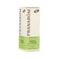 PranarÃ «m óleo essencial de alecrim QT cineol 10ml