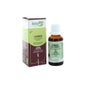 Herbalgem Macer Mer Sorbie Orgânico Sorbie30ml