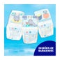 Dodot Splashers Pañal Infantil Talla 5 12-15 Kg 10uds