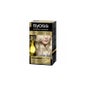 Syoss Oleo Intense N°10.50 Rubio Claro Ceniza
