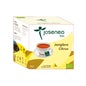 Irati Ginger Citrus Bio Box 10 Pir.