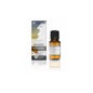 Romero Camphor Bio 10ml Óleo Essencial