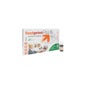 Soria Natural Fost Print Plus 20 ampolas