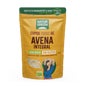 NaturGreen Flocos de Aveia Sem Glúten Bio 1 Kg