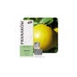 Toranja Bio 10ml Óleo Essencial