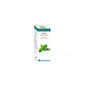 Bio 10ml de óleo essencial de hortelã