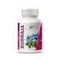 Ghf Borragem 710mg 110 Pérolas