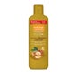 Gel de Banho Mel Natural Argan Elixir 650ml