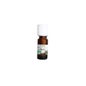 Óleo Essencial Orgânico Natural Proposto Mirto Vermelho 10ml