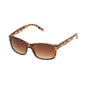 Loring Gafas Sol Cali 1ud