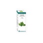 Bio Óleo Essencial Cilantro 10 Ml.