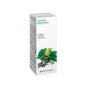 Damiana 29 Tintura Materna 50ml
