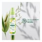 Klorane Spray Júnior Desenredante 125ml