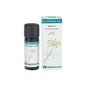 Bio óleo essencial de erva-doce 10ml
