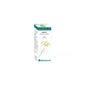 Bio óleo essencial de erva-doce 10ml