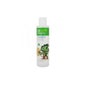Propharex Insigny Kids Champu Arbol Del Te Y Vinagre Jerez 200 M