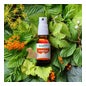 Herbalgem Energem Coup de Boost Spray Bio 15ml
