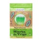 Hierba De Trigo Bio Super Alimentos Drasanvi 125g