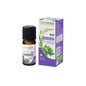 Naturactive Coriander He Bio 10ml