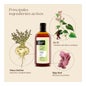 Nuggela & Sulé 100% Shampoo Premium Verde 250 Ml