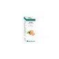 Bio Ginger Óleo Essencial 10ml