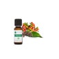 Voshuiles Natural Coffee Seed Extract 5ml
