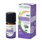 Óleo Essencial NaturActive Manjerona Orgânica 5ml