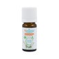 Tea Tree Oil Oil Bio Oe 10Ml Tea Tree Oil Oil Bio Oe 10Ml