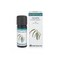Óleo Essencial de Bio Eucalipto 10ml
