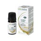 Naturactive Óleo Essencial Laurissilva Nobre Orgânico 5ml