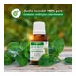 Aceite Esencial Arbol Del Te Soria Natural 15ml