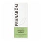 Pranar «m óleo essencial de cânfora de alecrim BIO 10ml