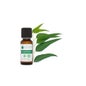 Voshuiles Eucalyptus Globulus Óleo Essencial 125ml