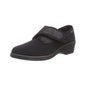 Scholl Alida Mc 37