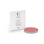 Couleur Caramel Recarga Colorete Nº68 Pêche Éclat 7g