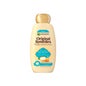 Garnier Remédios Originais Shampoo Argan Elixir 300ml