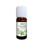 Proposta de Óleo Essencial Orgânico Exotic Verbena 10ml