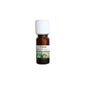 Proposta de Óleo Essencial Orgânico Exotic Verbena 10ml