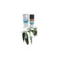 Aroma Exotic Verbena Essential Oil Aroma Counter 10ml