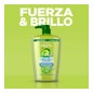 Garnier Fructis Strength &amp; Shine Shampoo 360ml